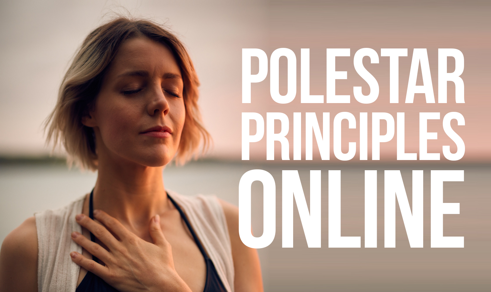 Polestar Principles Online